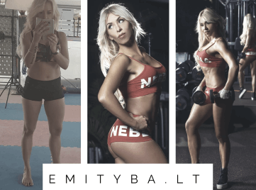 sekmes istorija Vaida