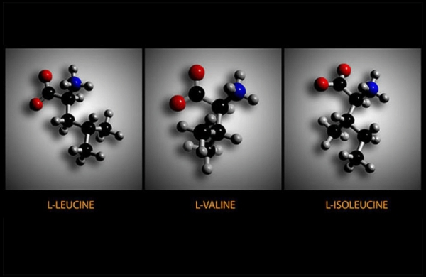 Aminorūg&scaron;tys BCAA - kodėl jos naudingos sportuojantiems?