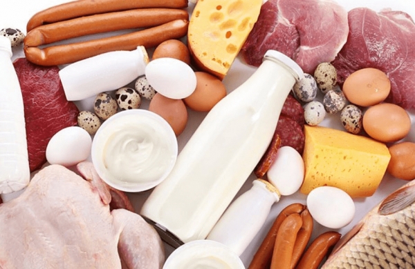 &Scaron;e&scaron;ios pagrindinės baltymų funkcijos organizme